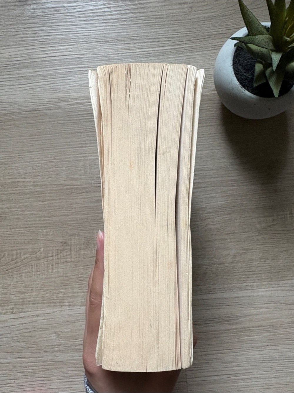Books | The Vampire Chronicles Collection - Picture 4 of 6